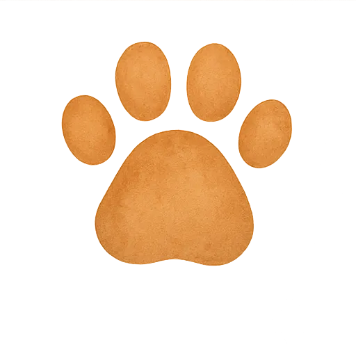 Lion footprint